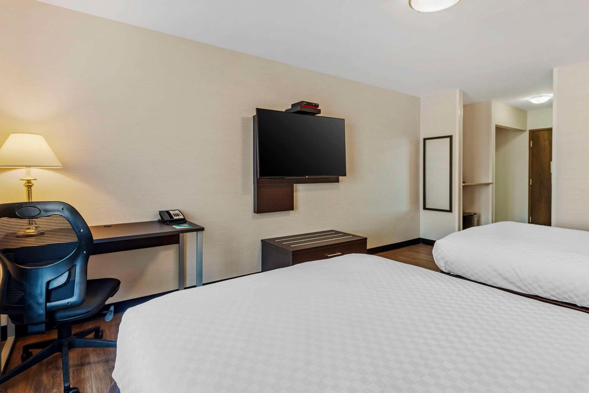 Mini-hôtel Quality